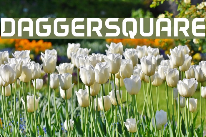 DAGGERSQUARE Font examples