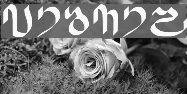 DAIKAN Font examples