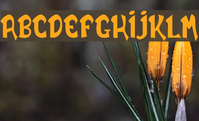 DAILY BOLD demo Font examples