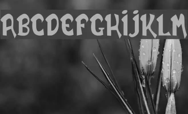 DAILY BOLD demo Font | Free Download (TTF/OTF) | FFonts.net