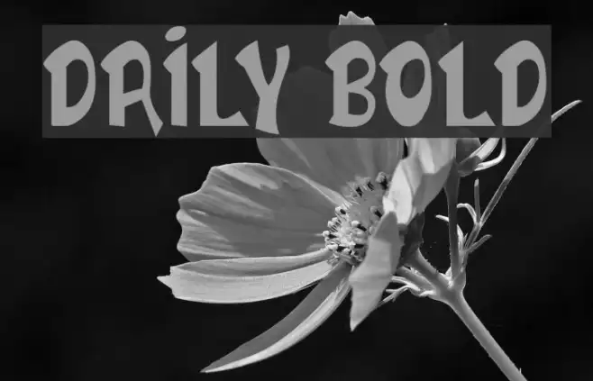 DAILY BOLD Example 1