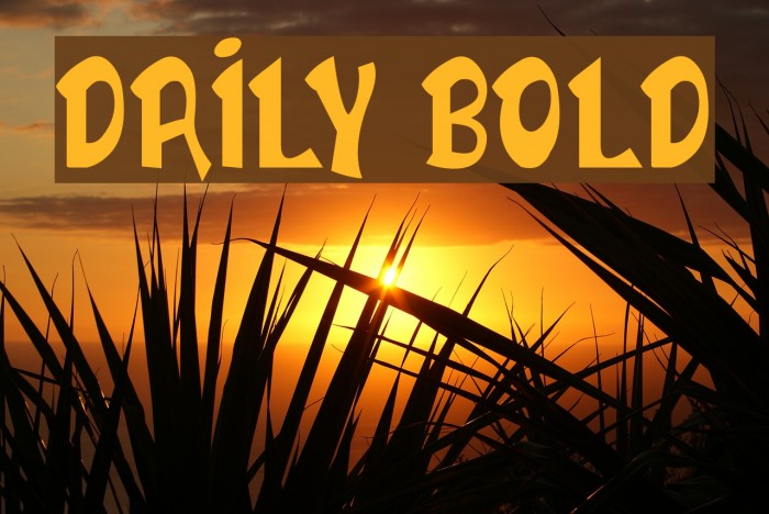 DAILY BOLD Font examples