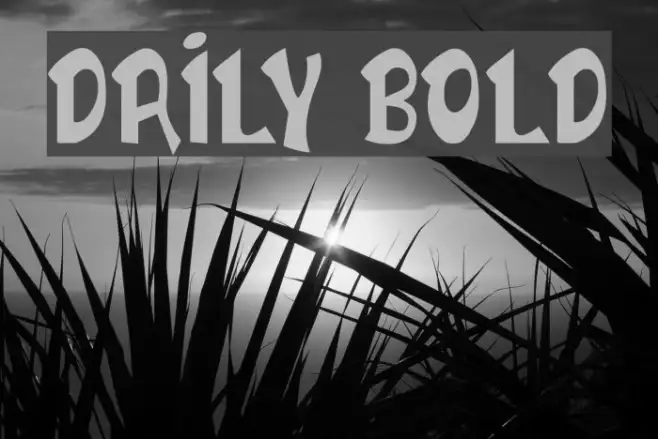 DAILY BOLD Example 2
