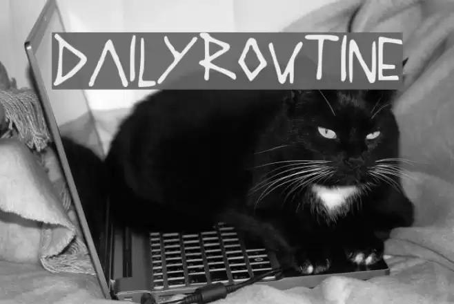 DAILYROUTINE Шрифта examples