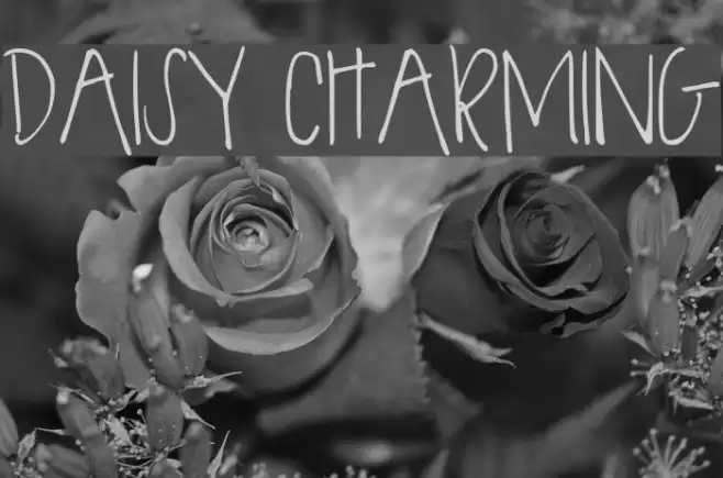 DAISY CHARMING Font examples