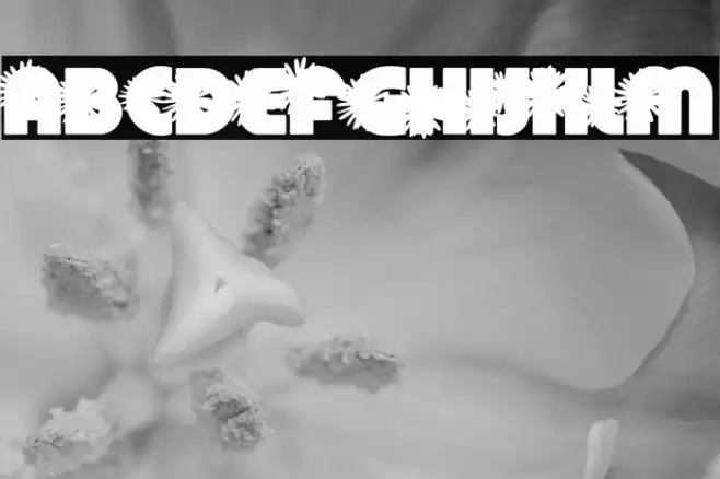 DAISYSPERSONALUSE-Bold Font examples