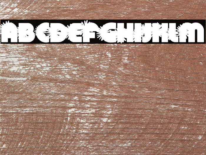 DAISYSPERSONALUSE-Bold Example 2