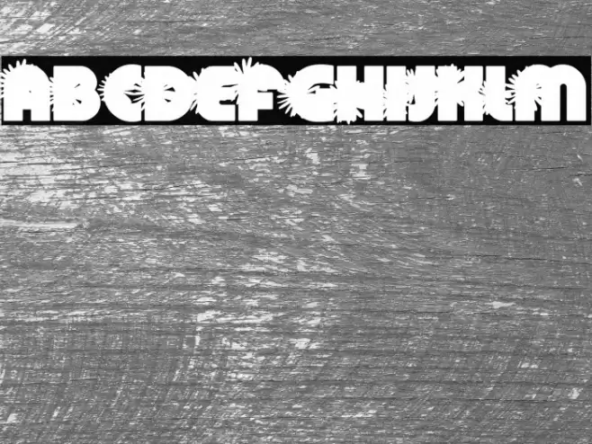 DAISYSPERSONALUSE-Bold Font examples