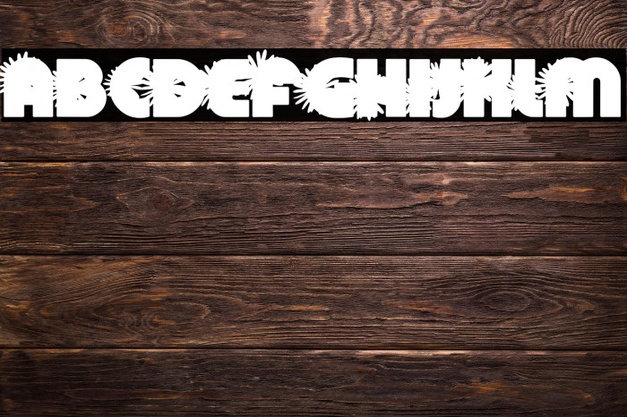 DAISYSPERSONALUSE-Bold Example 3