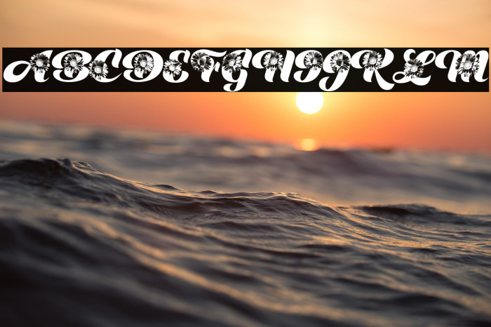 DAISYWAY PERSONAL USE Example 1