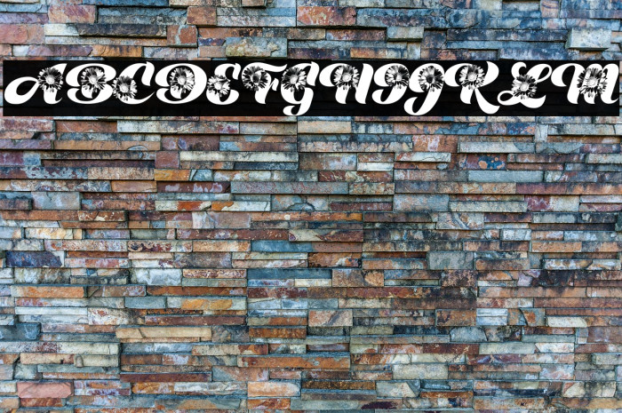 DAISYWAY PERSONAL USE Example 2