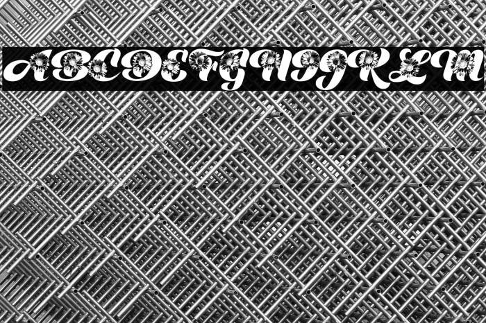 DAISYWAY PERSONAL USE Example 3