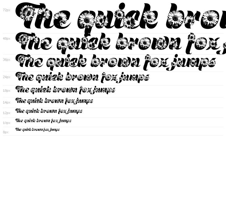 DAISYWAY PERSONAL USE Waterfall