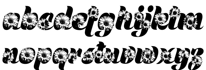 DAISYWAY PERSONAL USE Font LOWERCASE