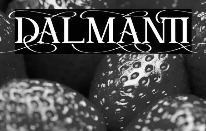 DALMANTI Font examples
