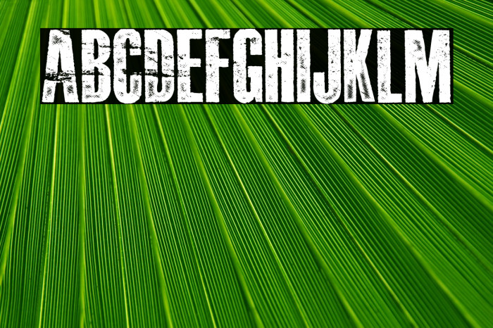 DAMAGEPLAN PERSONAL USE Bold Example 1