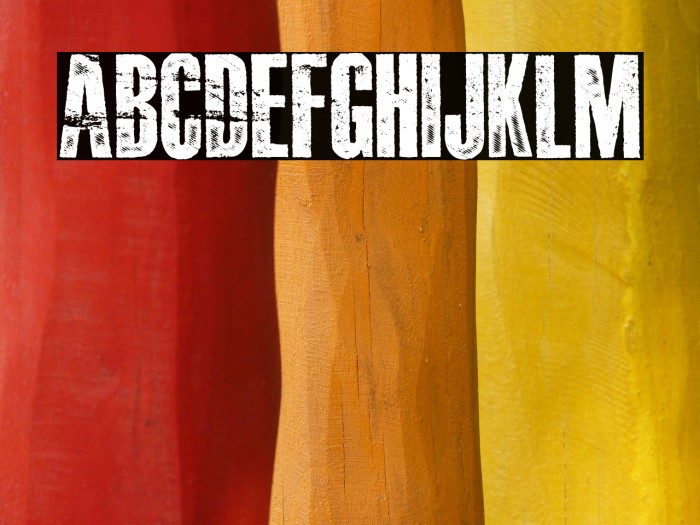 DAMAGEPLAN PERSONAL USE Bold Example 2