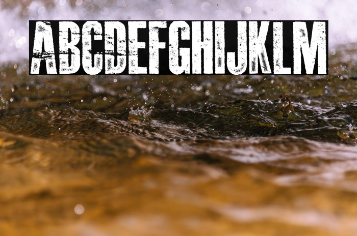 DAMAGEPLAN PERSONAL USE Bold Example 3