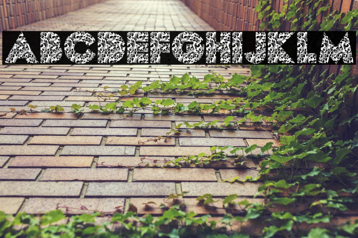 DAMAS PERSONAL USE Bold Example 2