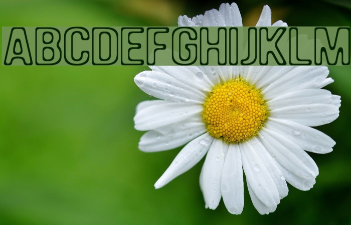 DAM Font examples