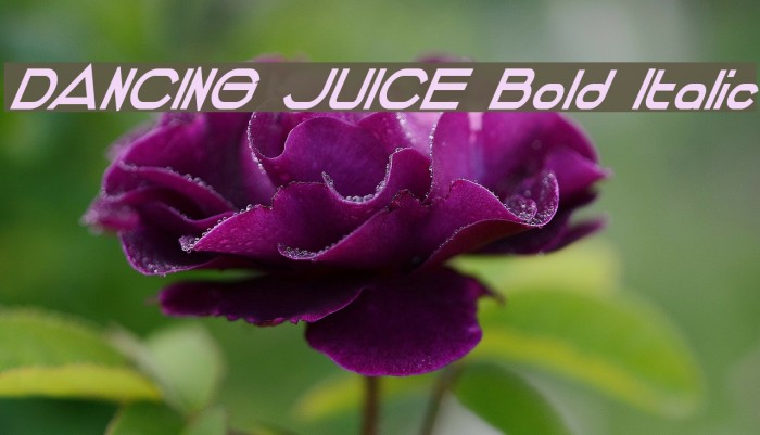 DANCING JUICE Bold Italic Font examples