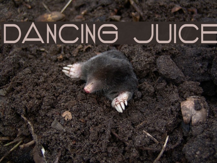 DANCING JUICE Font examples