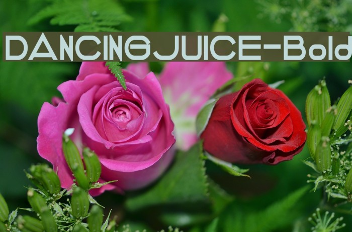 DANCINGJUICE-Bold Font examples