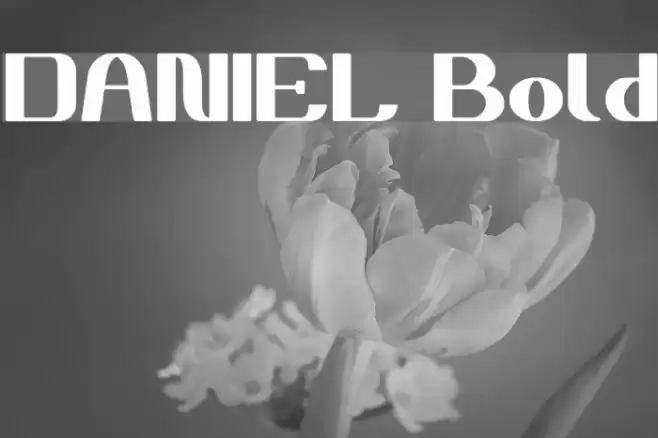 DANIEL Bold Font examples