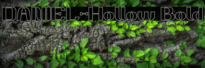 DANIEL-Hollow Bold Example 3