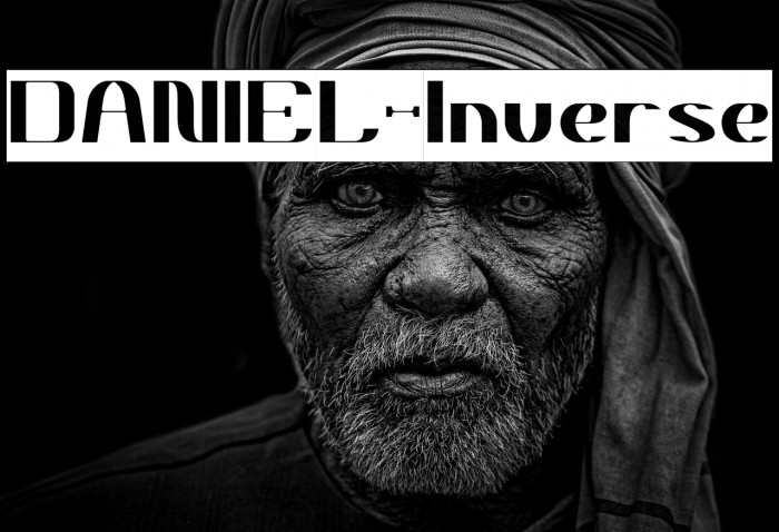 DANIEL-Inverse Example 3