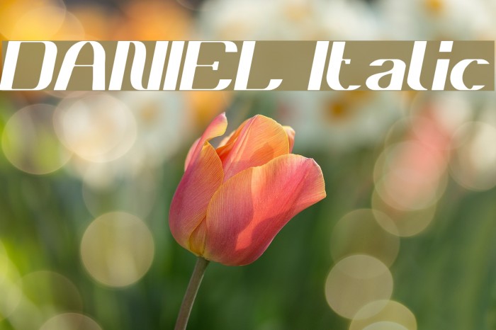 DANIEL Italic Example 1