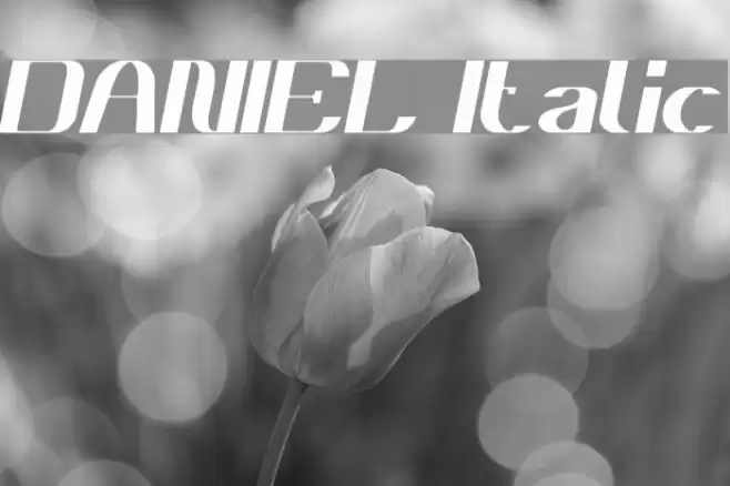 DANIEL Italic Font examples