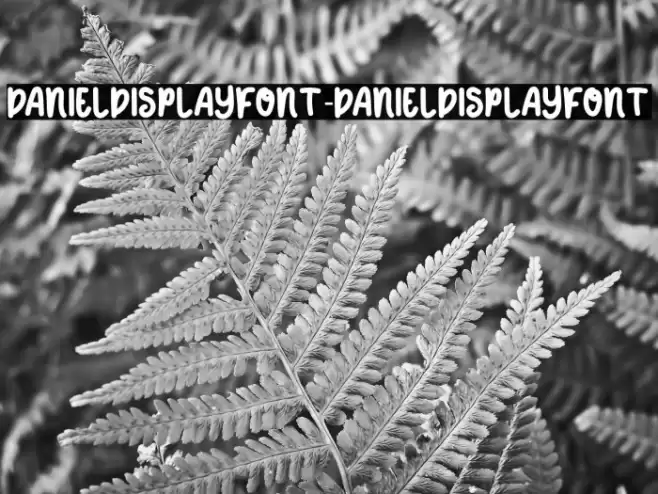 DANIELDISPLAYFONT-DANIELDISPLAYFONT フォント examples