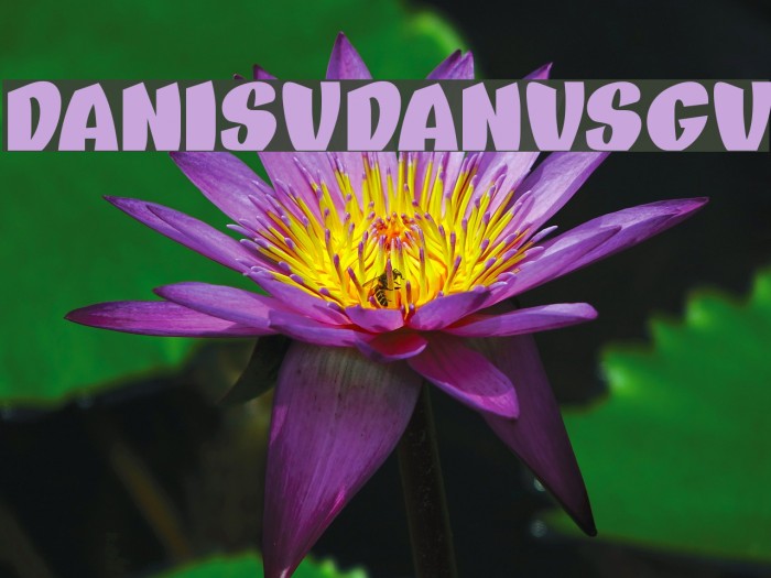 DANISVDANVSGV Font examples