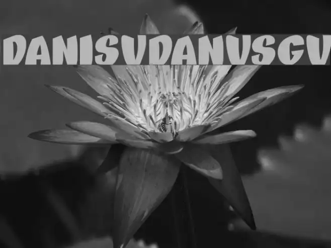 DANISVDANVSGV Example 3