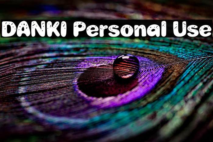 DANKI Personal Use Example 1