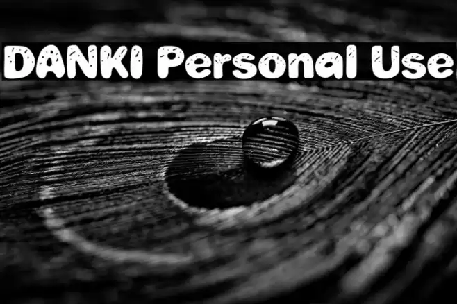 DANKI Personal Use Font examples