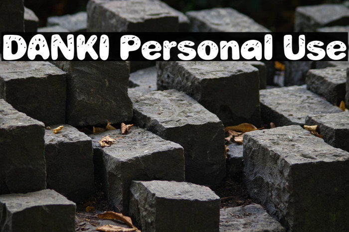 DANKI Personal Use Example 2