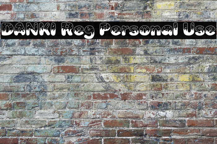 DANKI Reg Personal Use Example 3