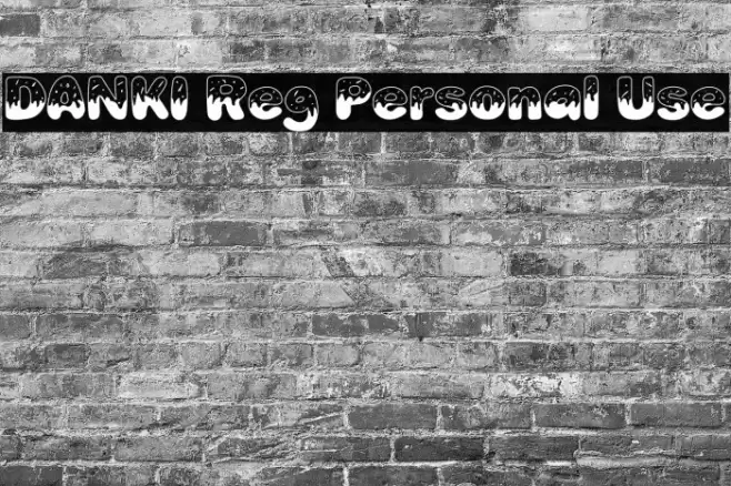 DANKI Reg Personal Use Font examples