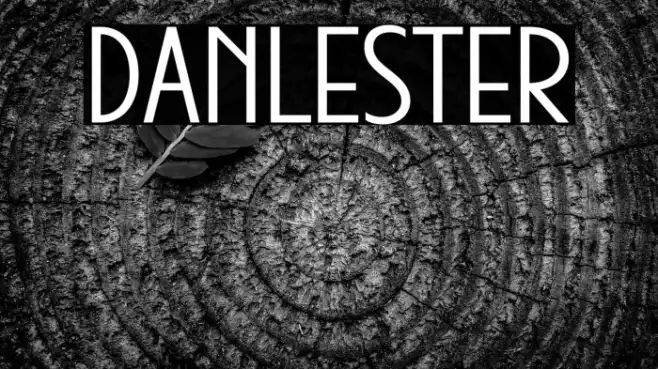 DANLESTER Example 2