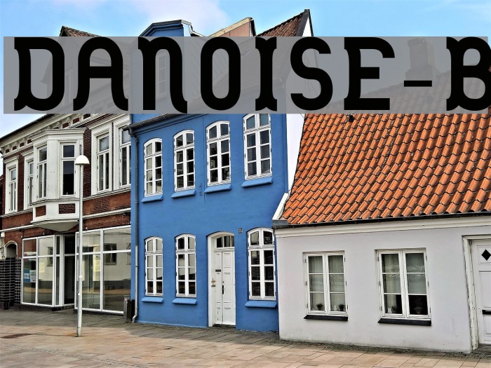 DANOISE-Bold Font examples