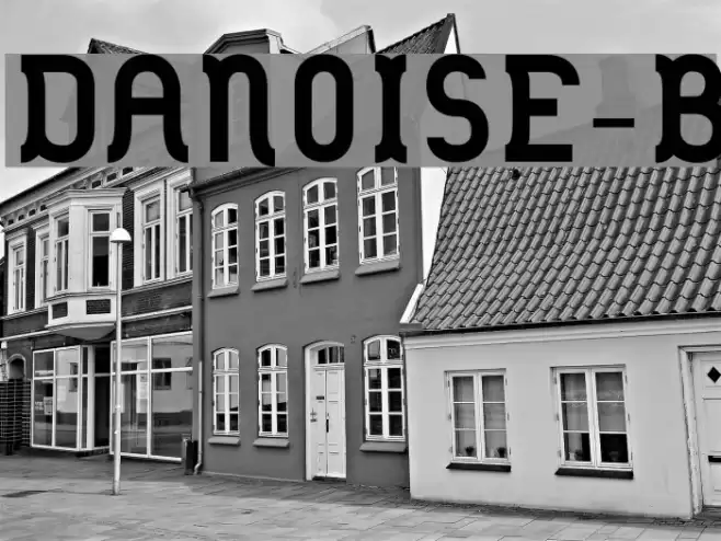 DANOISE-Bold Schriftart examples