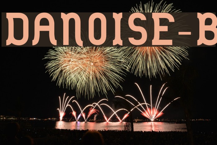 DANOISE-Bold Font examples