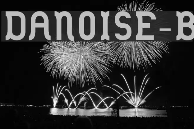 DANOISE-Bold Schriftart examples