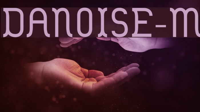 DANOISE-Medium Fuentes examples