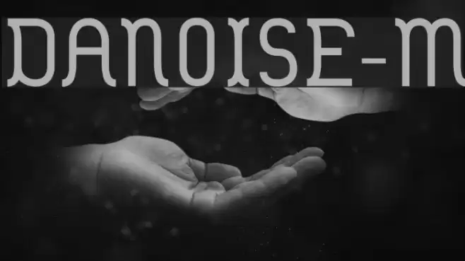 DANOISE-Medium Fuentes examples