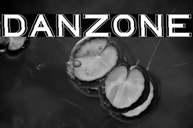 DANZONE Font examples