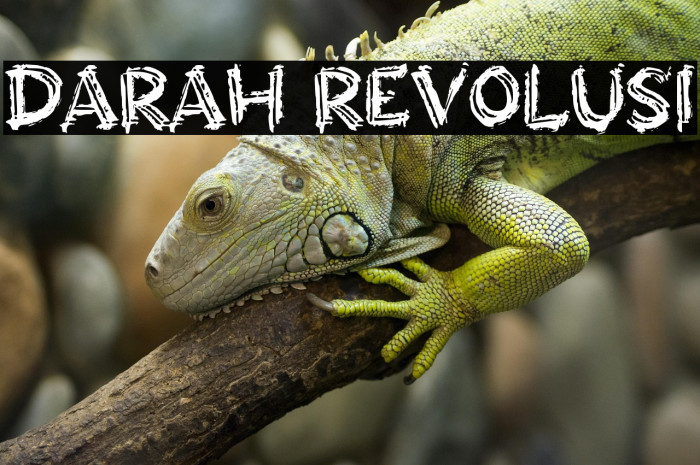 DARAH REVOLUSI Example 1