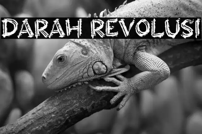 DARAH REVOLUSI Fuentes examples